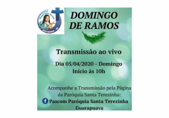 Santa Missa no Domingo de Ramos será transmitida ao vivo pelo Facebook